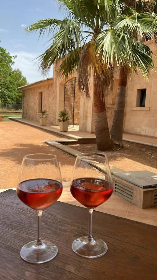 Gasthuis Finca Sol Y Vida - Agroturismo Son Sampoli Hotel Llucmajor